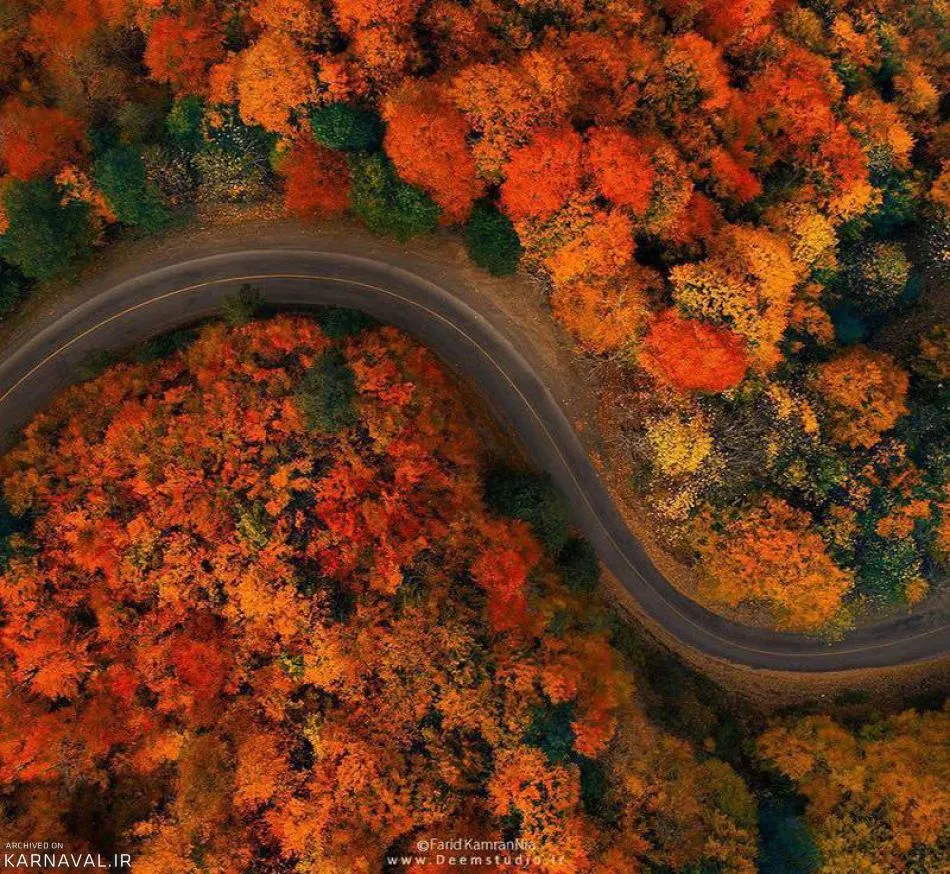 Aerial view of a winding road through an autumn forest on the Asalem to Khalkhal Road, Iran